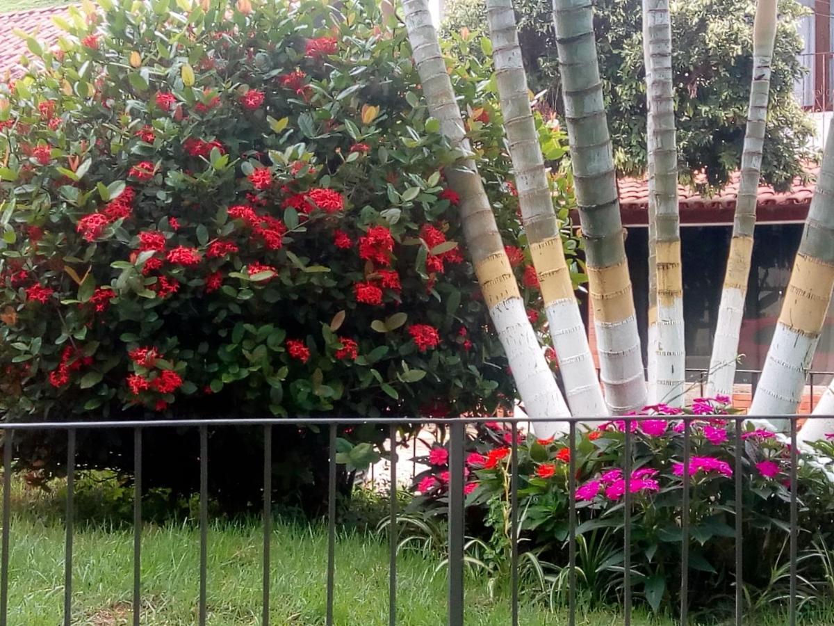 فيلا Casinhas Interior Mg Antonio Prado de Minas المظهر الخارجي الصورة